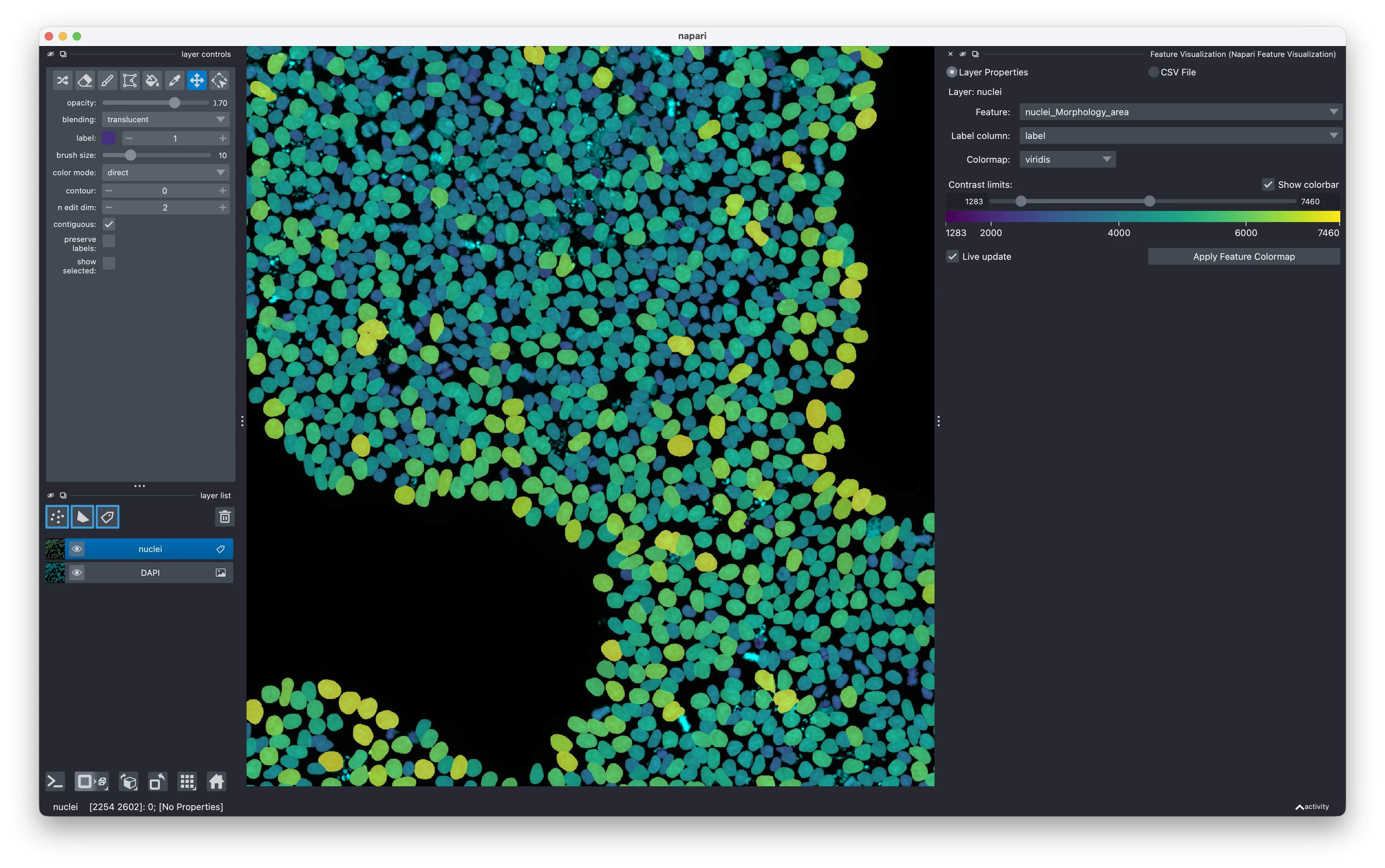 Feature Visualization